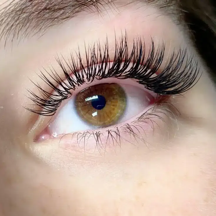 lashes