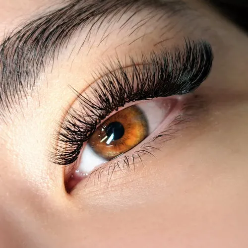 lashes